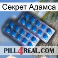 Секрет Адамса viagra2